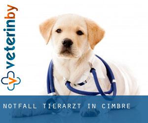 Notfall Tierarzt in Cimbré