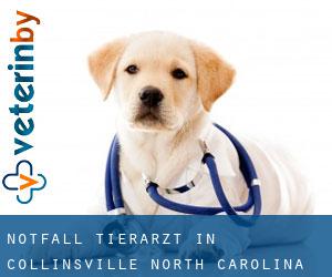 Notfall Tierarzt in Collinsville (North Carolina)