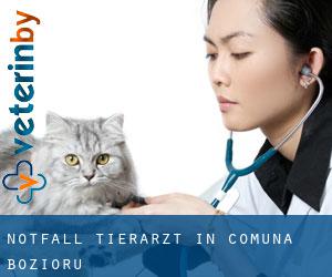 Notfall Tierarzt in Comuna Bozioru