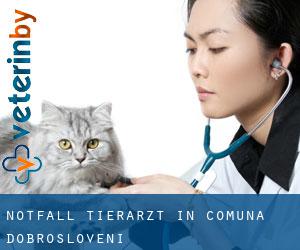 Notfall Tierarzt in Comuna Dobrosloveni