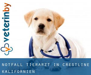 Notfall Tierarzt in Crestline (Kalifornien)