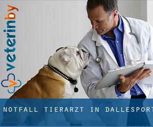Notfall Tierarzt in Dallesport