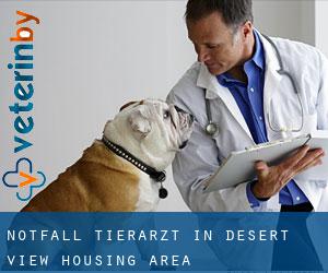 Notfall Tierarzt in Desert View Housing Area