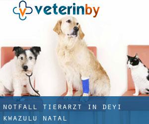 Notfall Tierarzt in Deyi (KwaZulu-Natal)