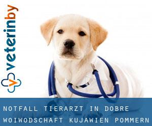 Notfall Tierarzt in Dobre (Woiwodschaft Kujawien-Pommern)