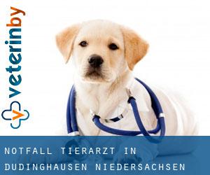 Notfall Tierarzt in Düdinghausen (Niedersachsen)