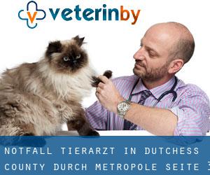 Notfall Tierarzt in Dutchess County durch metropole - Seite 3