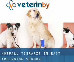 Notfall Tierarzt in East Arlington (Vermont)