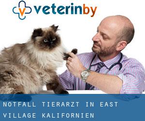 Notfall Tierarzt in East Village (Kalifornien)