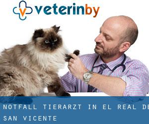 Notfall Tierarzt in El Real de San Vicente