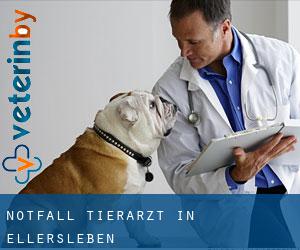Notfall Tierarzt in Ellersleben
