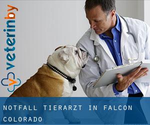 Notfall Tierarzt in Falcon (Colorado)