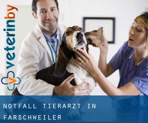 Notfall Tierarzt in Farschweiler