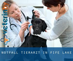 Notfall Tierarzt in Fife Lake
