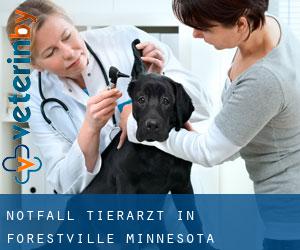 Notfall Tierarzt in Forestville (Minnesota)