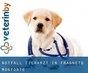Notfall Tierarzt in Fragneto Monforte