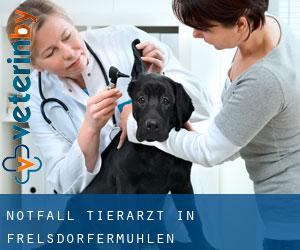 Notfall Tierarzt in Frelsdorfermühlen (Niedersachsen)