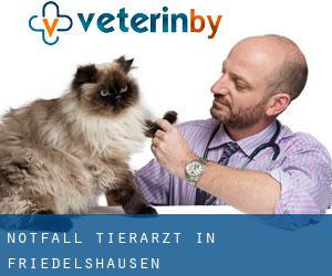 Notfall Tierarzt in Friedelshausen