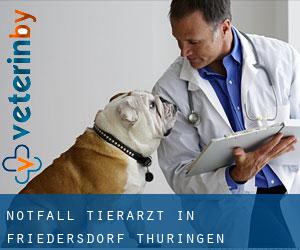 Notfall Tierarzt in Friedersdorf (Thüringen)