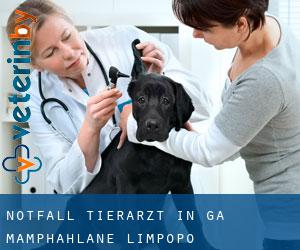Notfall Tierarzt in Ga-Mamphahlane (Limpopo)