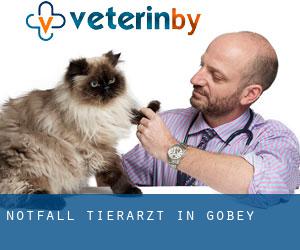 Notfall Tierarzt in Gobey