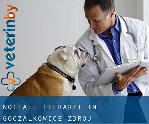 Notfall Tierarzt in Goczałkowice Zdrój
