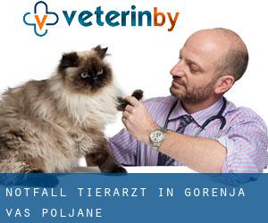 Notfall Tierarzt in Gorenja Vas-Poljane