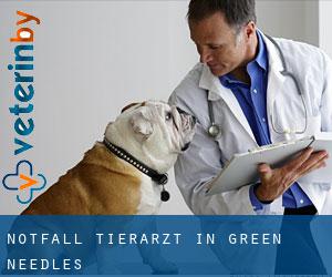 Notfall Tierarzt in Green Needles