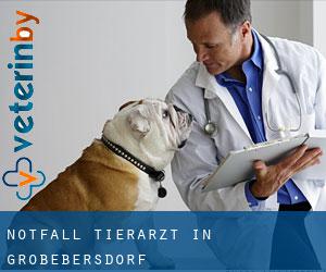 Notfall Tierarzt in Großebersdorf
