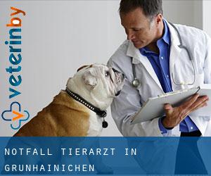 Notfall Tierarzt in Grünhainichen