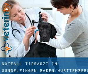 Notfall Tierarzt in Gundelfingen (Baden-Württemberg)