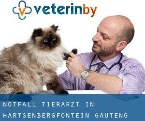 Notfall Tierarzt in Hartsenbergfontein (Gauteng)