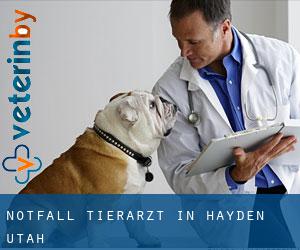 Notfall Tierarzt in Hayden (Utah)