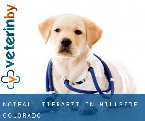 Notfall Tierarzt in Hillside (Colorado)