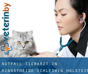 Notfall Tierarzt in Hingstheide (Schleswig-Holstein)