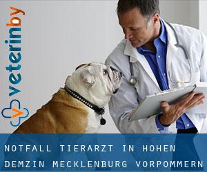 Notfall Tierarzt in Hohen Demzin (Mecklenburg-Vorpommern)