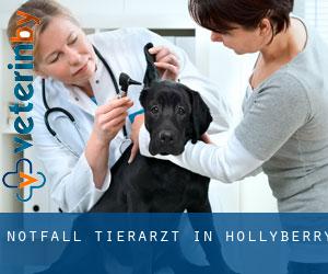 Notfall Tierarzt in Hollyberry