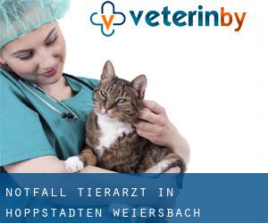 Notfall Tierarzt in Hoppstädten-Weiersbach