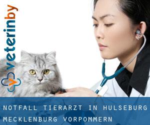 Notfall Tierarzt in Hülseburg (Mecklenburg-Vorpommern)