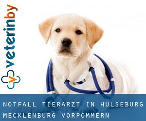 Notfall Tierarzt in Hülseburg (Mecklenburg-Vorpommern)