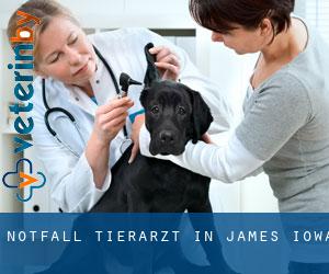 Notfall Tierarzt in James (Iowa)