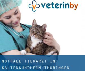 Notfall Tierarzt in Kaltensundheim (Thüringen)