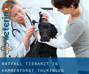 Notfall Tierarzt in Kammerforst (Thüringen)