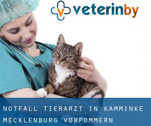 Notfall Tierarzt in Kamminke (Mecklenburg-Vorpommern)