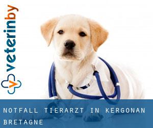 Notfall Tierarzt in Kergonan (Bretagne)