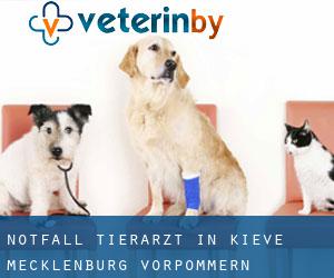 Notfall Tierarzt in Kieve (Mecklenburg-Vorpommern)