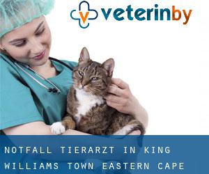 Notfall Tierarzt in King William's Town (Eastern Cape)