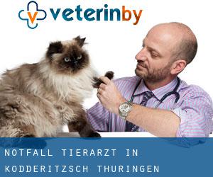 Notfall Tierarzt in Ködderitzsch (Thüringen)
