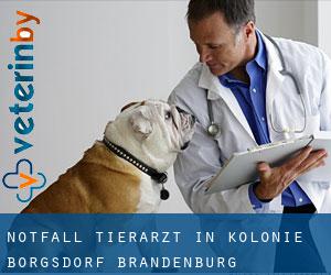 Notfall Tierarzt in Kolonie Borgsdorf (Brandenburg)