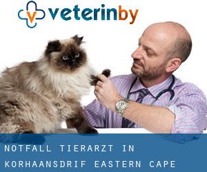 Notfall Tierarzt in Korhaansdrif (Eastern Cape)